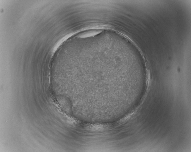 X0000051250829200507152147