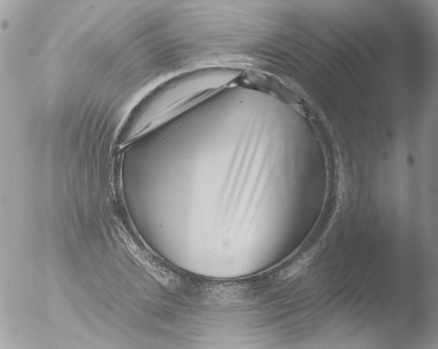 X0000051250830200507152147