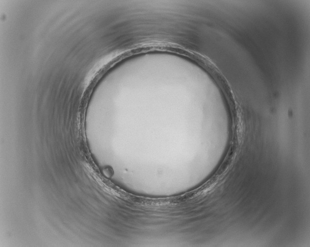 X0000051250831200507152147