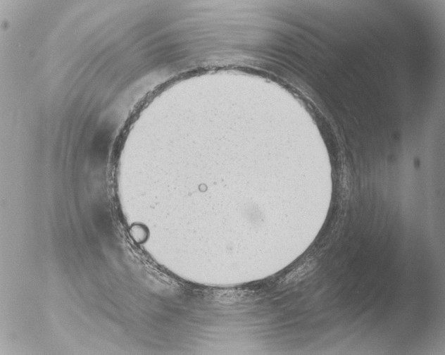 X0000051250832200507152147