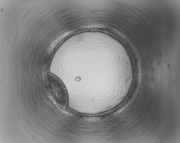 X0000051250833200507152147