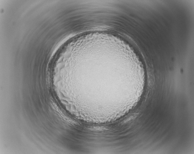 X0000051250835200507152147