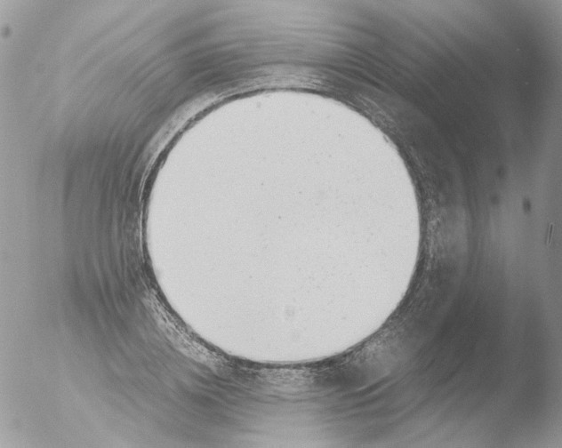 X0000051250836200507152147