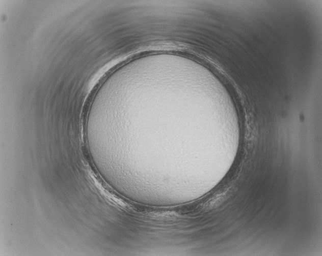 X0000051250837200507152147