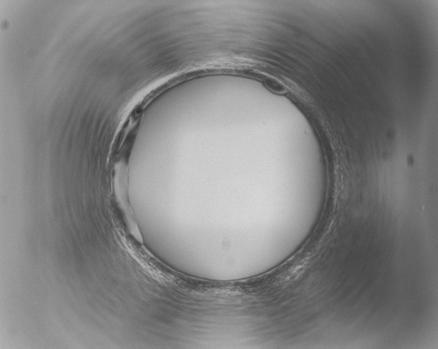 X0000051250838200507152147