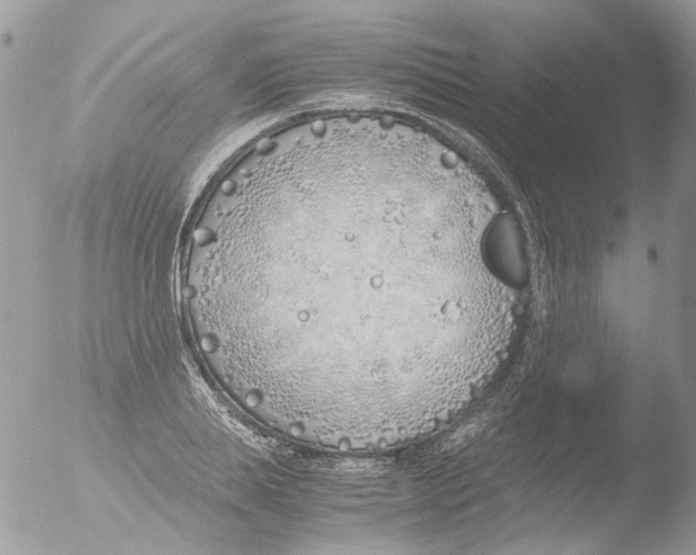 X0000051250839200507152147