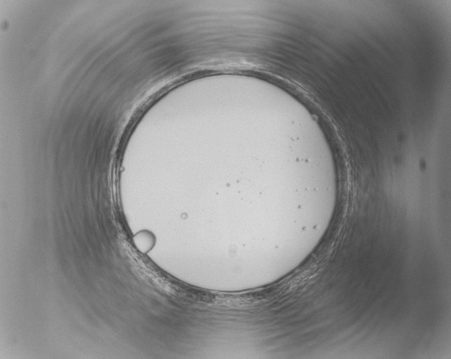 X0000051250840200507152147