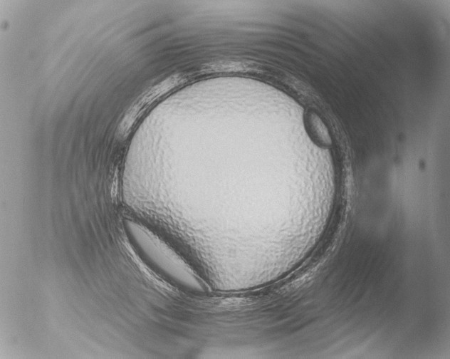 X0000051250841200507152147