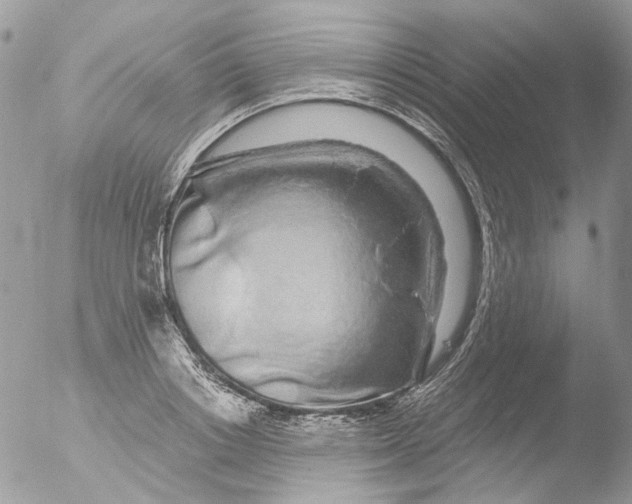 X0000051250842200507152147