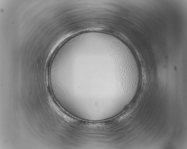 X0000051250843200507152147