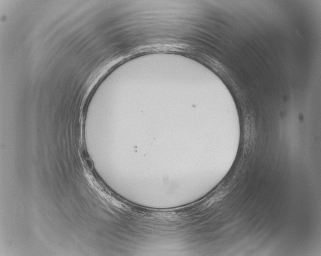 X0000051250844200507152147