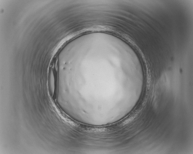 X0000051250845200507152147