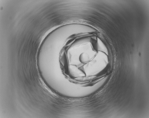 X0000051250846200507152147