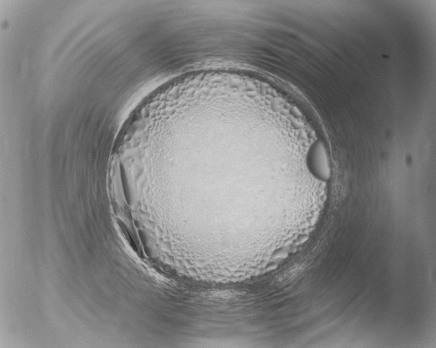 X0000051250847200507152147