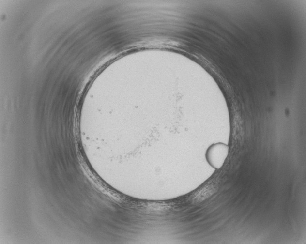 X0000051250848200507152147