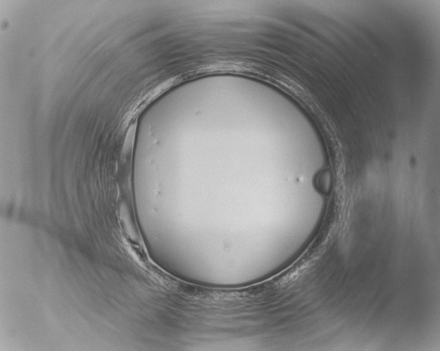 X0000051250849200507152147