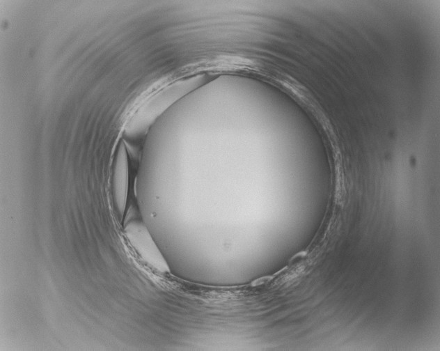 X0000051250850200507152147