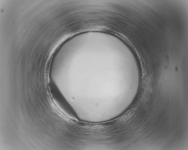 X0000051250851200507152147