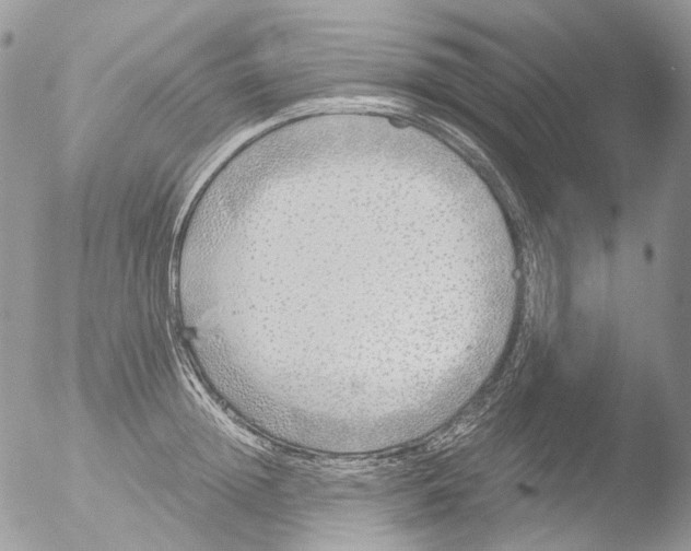 X0000051250852200507152147