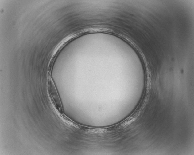 X0000051250853200507152148