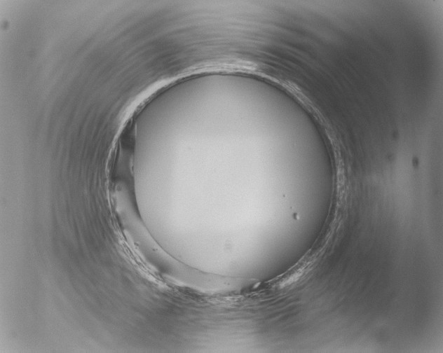 X0000051250854200507152148