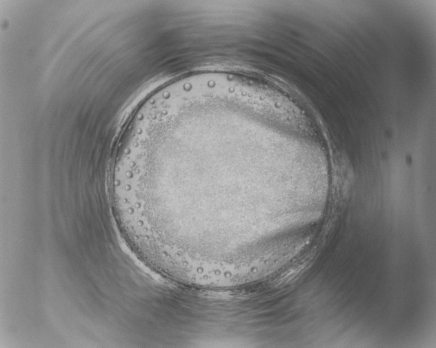 X0000051250855200507152148