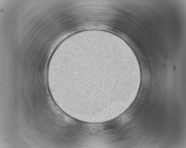 X0000051250856200507152148