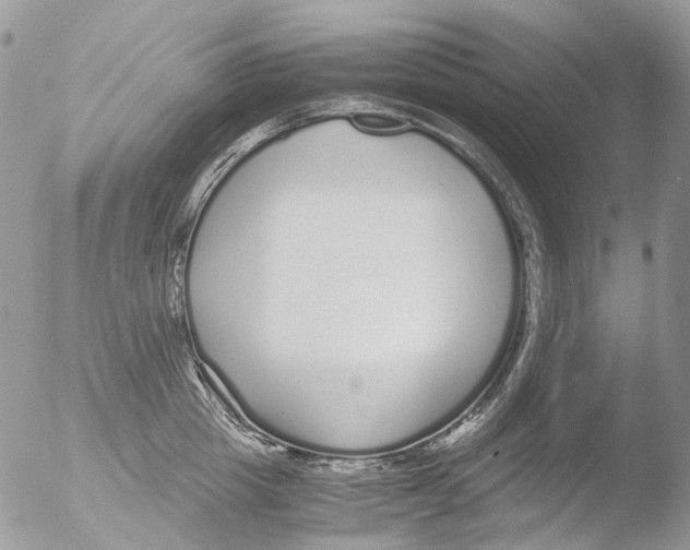 X0000051250857200507152148