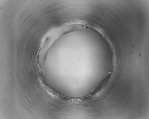 X0000051250858200507152148