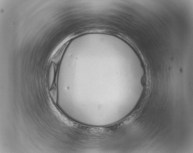 X0000051250859200507152148