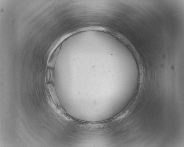 X0000051250860200507152148