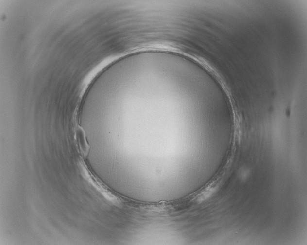 X0000051250862200507152148