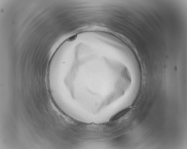 X0000051250863200507152148