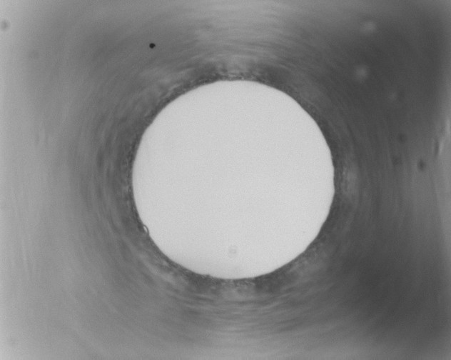 X0000051250865200507152147