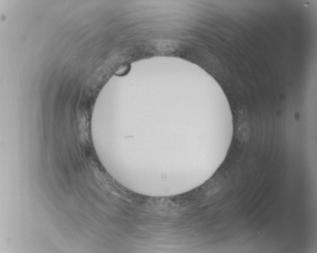 X0000051250866200507152147