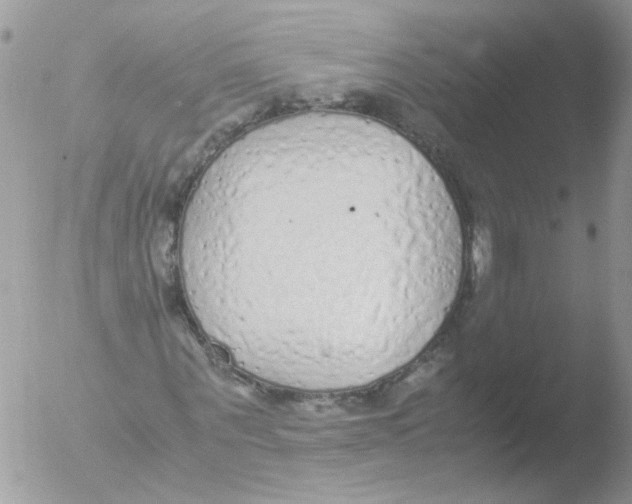 X0000051250867200507152147