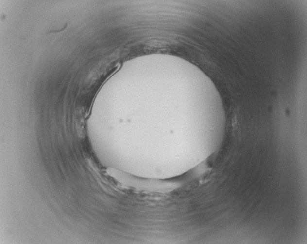 X0000051250868200507152147