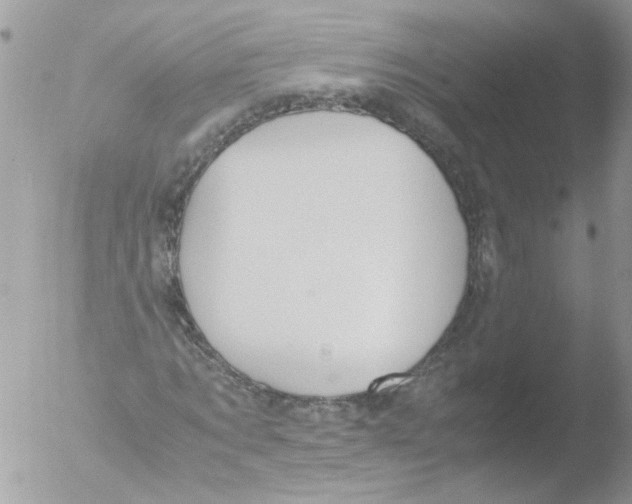 X0000051250869200507152147