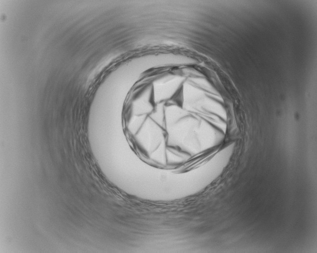 X0000051250871200507152147