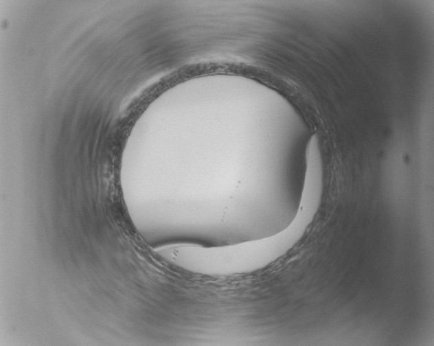 X0000051250872200507152147