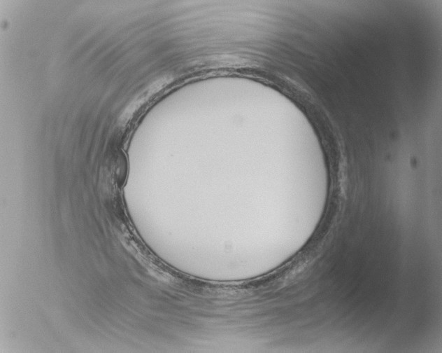 X0000051250873200507152147