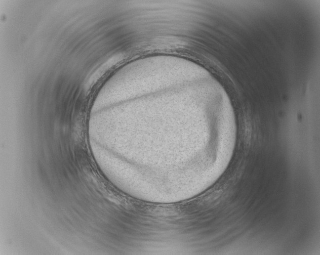 X0000051250874200507152147