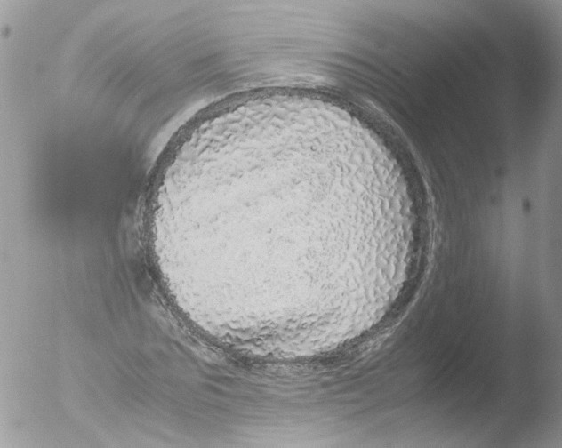 X0000051250875200507152147