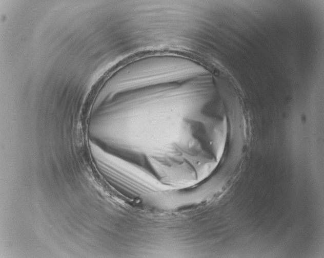 X0000051250876200507152147