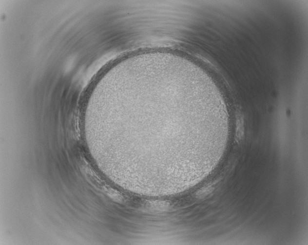 X0000051250878200507152147