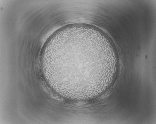 X0000051250879200507152147