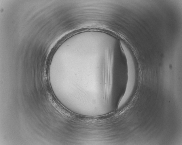 X0000051250880200507152147