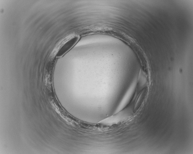 X0000051250881200507152147