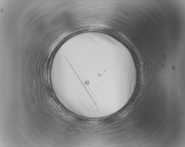 X0000051250883200507152147