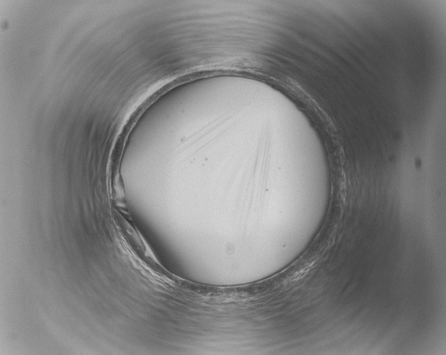 X0000051250884200507152147